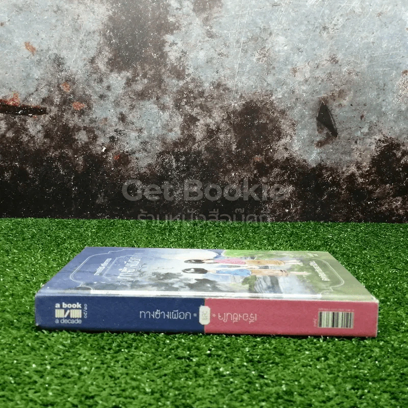 ทางช้างเผือก + เรื่องชื่นใจ รูปที่ 2
