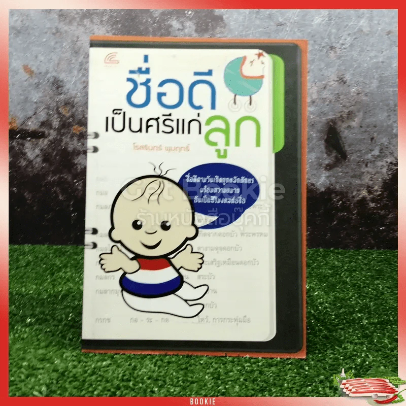 ชื่อดีเป็นศรีแก่ลูก รูปที่ 1