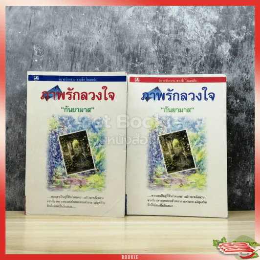 ภาพรักลวงใจ 2 เล่มจบ รูปที่ 1
