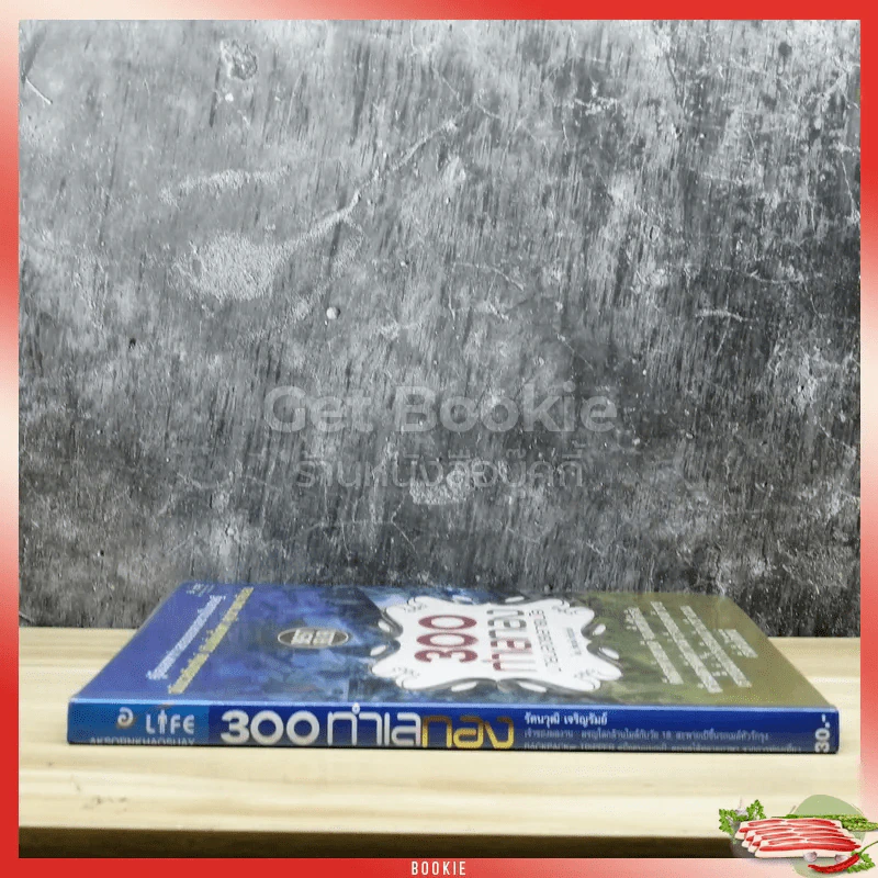 300 ทำเลทองขายของตลาดนัด รูปที่ 2