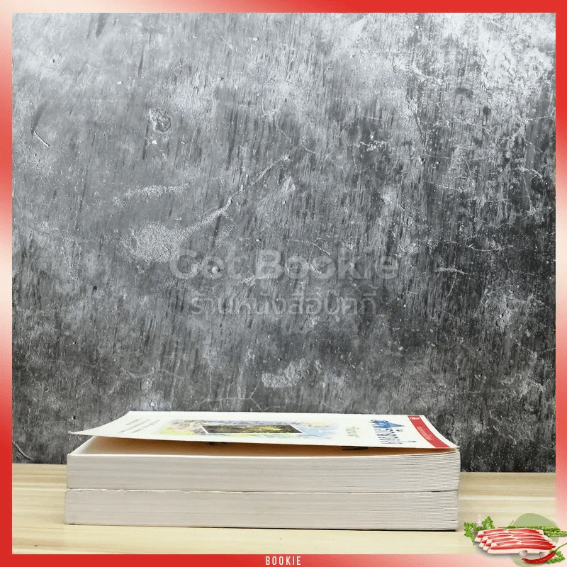 ภาพรักลวงใจ 2 เล่มจบ รูปที่ 3
