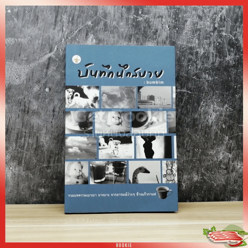 บันทึกนึกสบาย รูปที่ 1