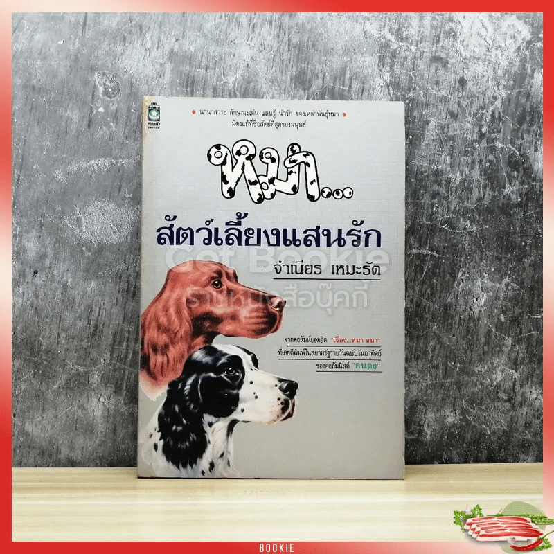 หมา สัตว์เลี้ยงแสนรัก รูปที่ 1