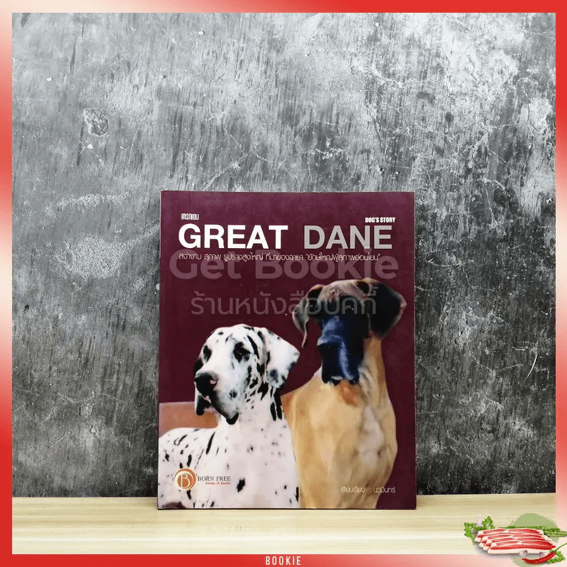 Great Dane Dog's Story รูปที่ 1