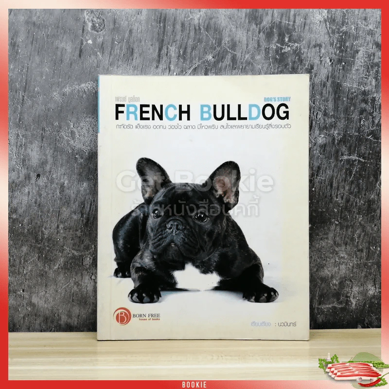 French Bulldog Dog's Story รูปที่ 1