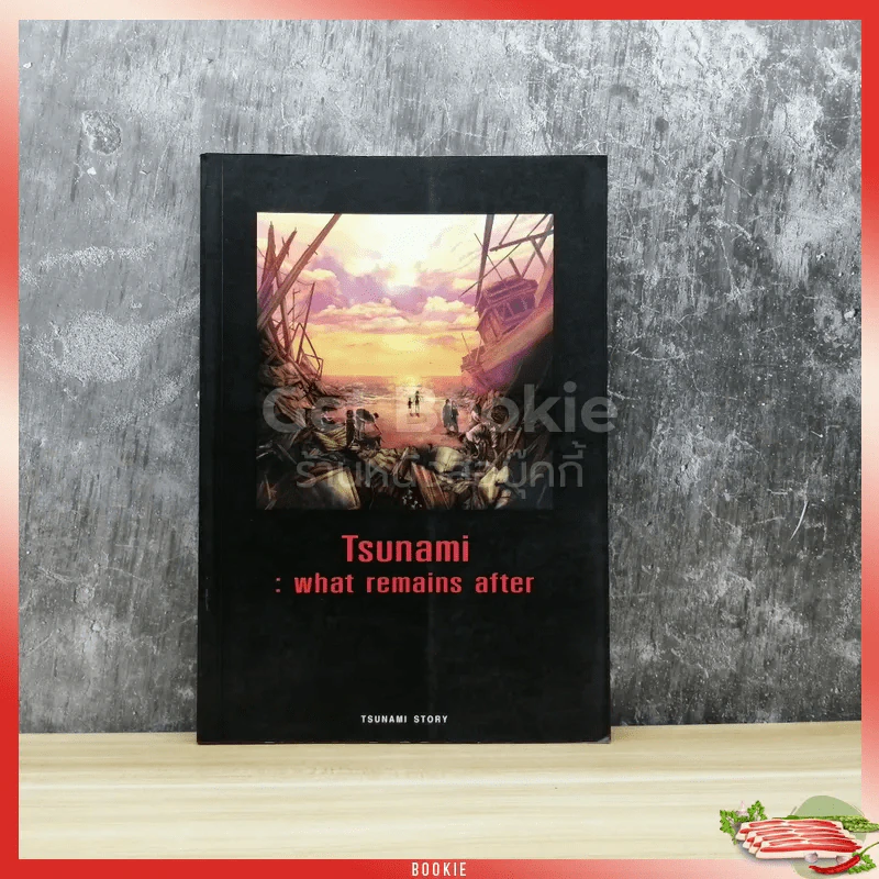 Tsunami: what remains after รูปที่ 1