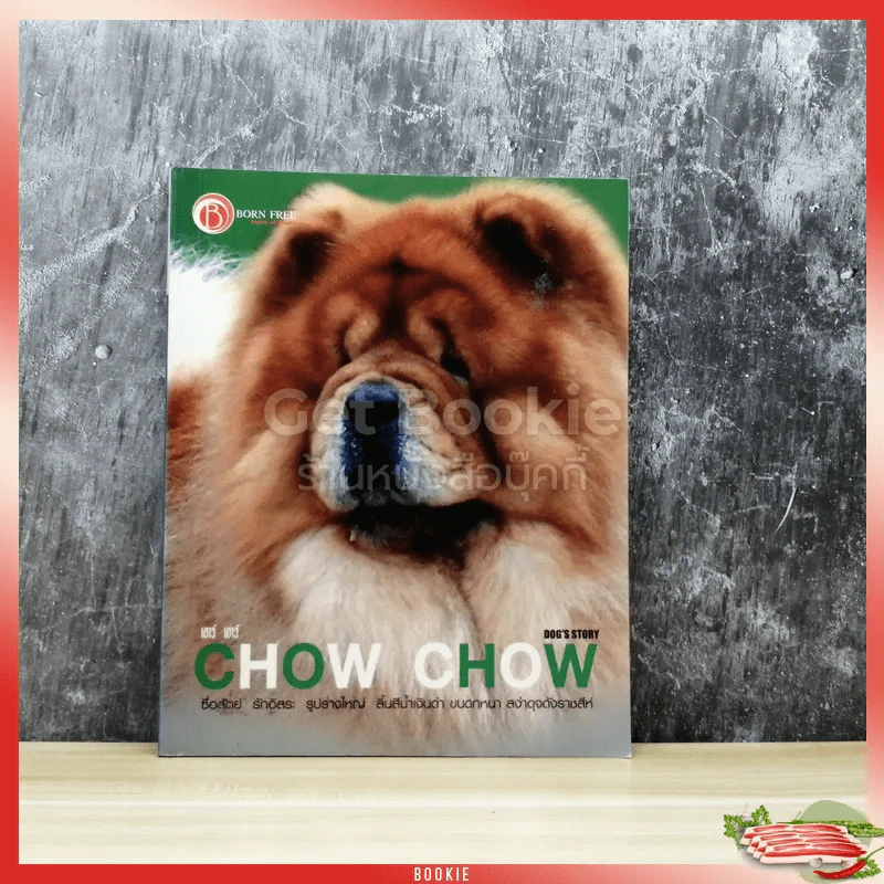 Chow Chow Dog's Story รูปที่ 1