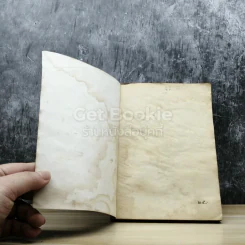 ตามล่า! ชีวิตการผจญภัยของสิงห์หนุ่ม รูปที่ 4