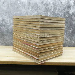 ซามูไรพเนจร เล่ม 2,4-8,10,12,13,18-21,23,25-28 รวม 18 เล่ม รูปที่ 5