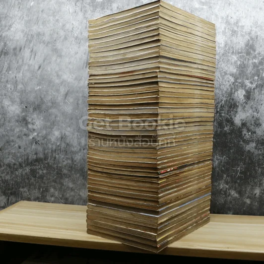 เจาะเวลาหาจิ๋นซี 48 เล่มจบ รูปที่ 4