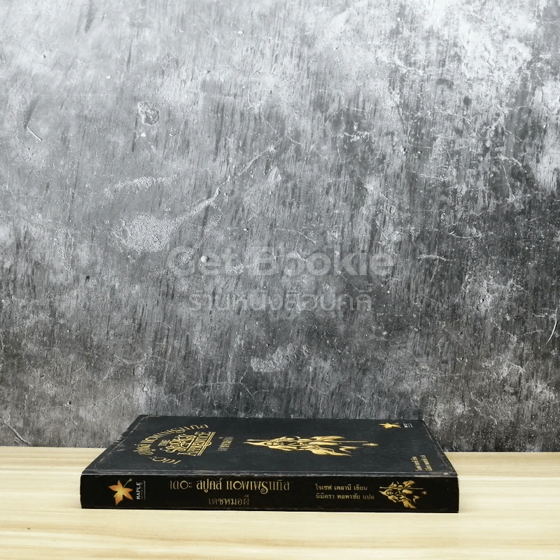 The Spook's เดอะสปูคส์ แอพเพรนเทิล เดชหมอผี รูปที่ 2