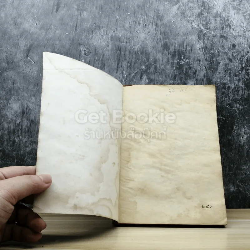 ตามล่า! ชีวิตการผจญภัยของสิงห์หนุ่ม รูปที่ 4