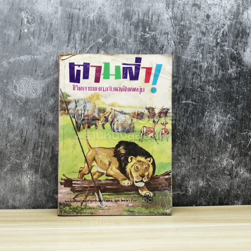 ตามล่า! ชีวิตการผจญภัยของสิงห์หนุ่ม รูปที่ 1