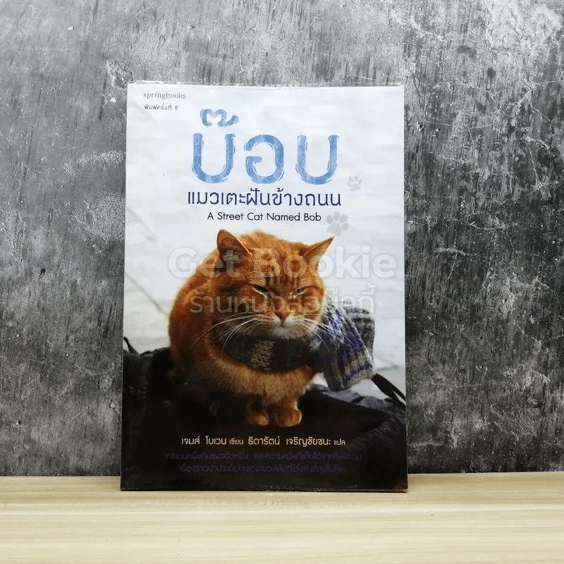 บ๊อบ แมวเตะฝันข้างถนน รูปที่ 1