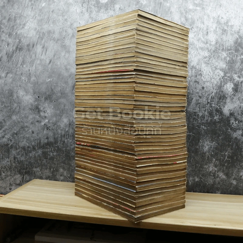 เจาะเวลาหาจิ๋นซี 48 เล่มจบ รูปที่ 5