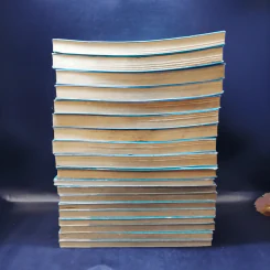 เสน่ห์สาวข้าวปั้น เล่ม 1-15,17,18,20,23 รูปที่ 9