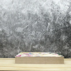 Special Romantic โรแมนติค 16 รูปที่ 3