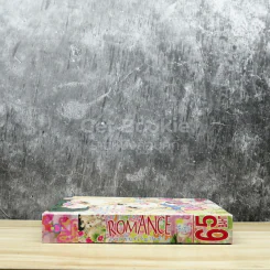 Special Romantic โรแมนติค 16 รูปที่ 2