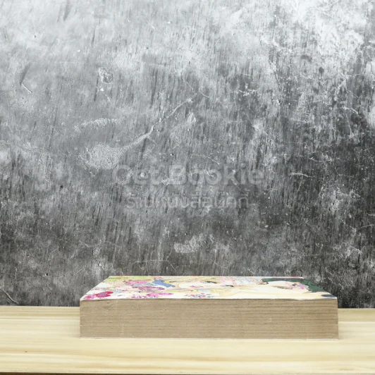 Special Romantic โรแมนติค 16 รูปที่ 3