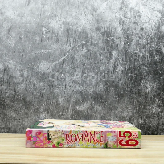 Special Romantic โรแมนติค 16 รูปที่ 2