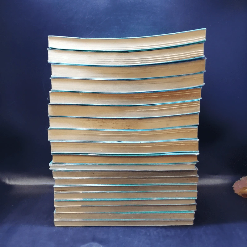 เสน่ห์สาวข้าวปั้น เล่ม 1-15,17,18,20,23 รูปที่ 9