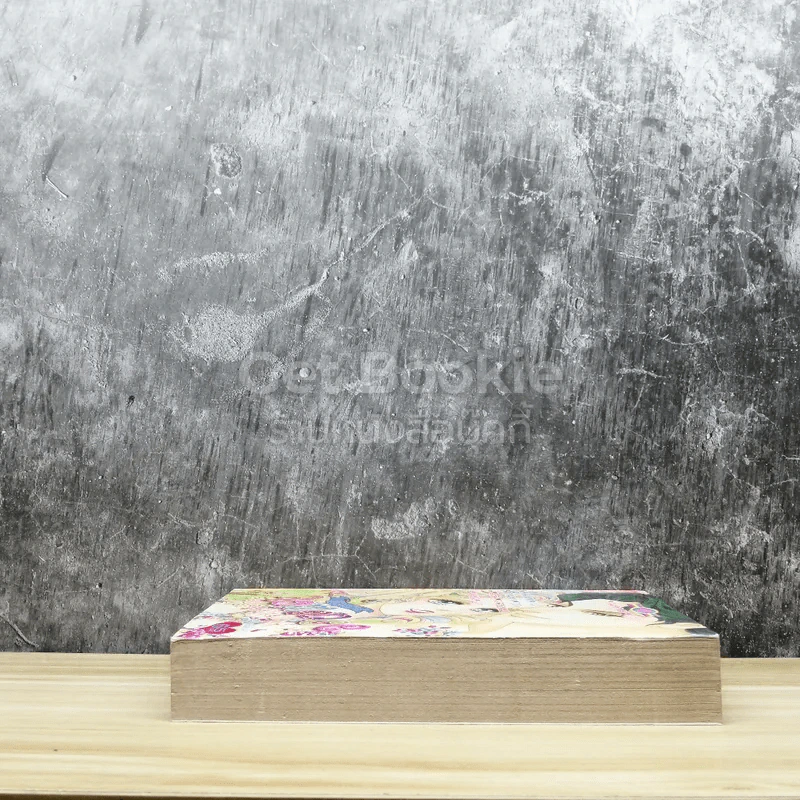Special Romantic โรแมนติค 16 รูปที่ 3