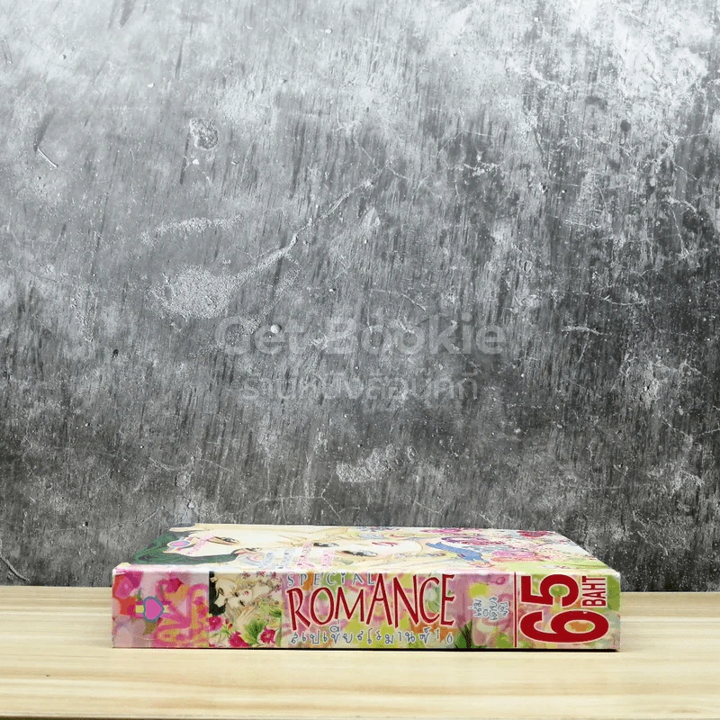 Special Romantic โรแมนติค 16 รูปที่ 2