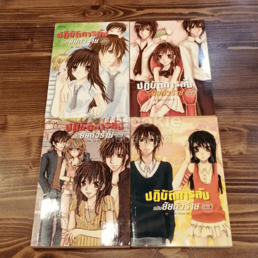 ปฏิบัติการลับฉบับยัยตัวร้าย 4 เล่มจบ รูปที่ 1