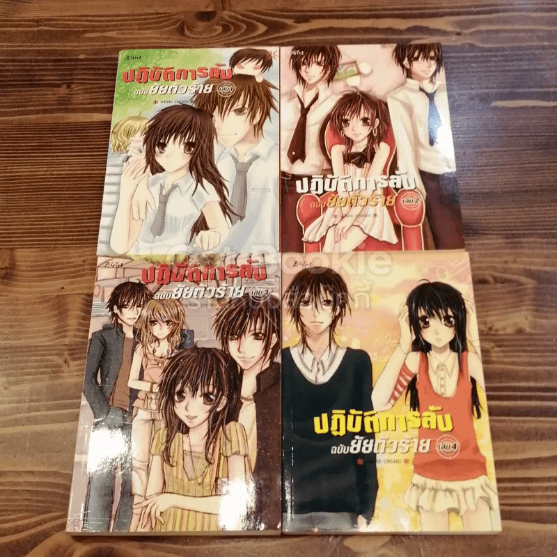 ปฏิบัติการลับฉบับยัยตัวร้าย 4 เล่มจบ รูปที่ 1