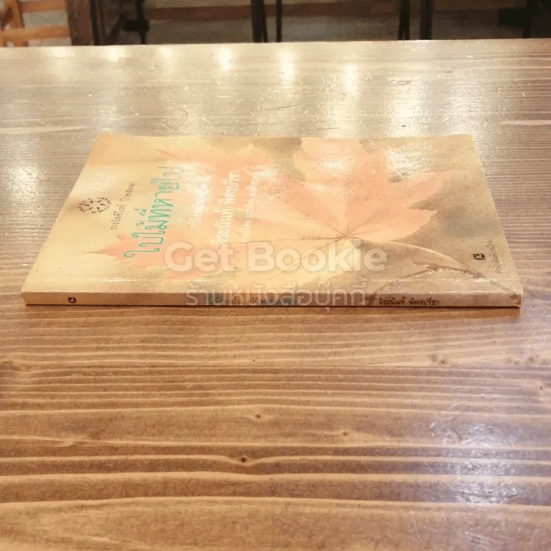 ใบไม้ที่หายไป - จิระนันท์ พิตรปรีชา รูปที่ 2