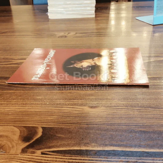 ขนมลูกๆทองแดง รูปที่ 2