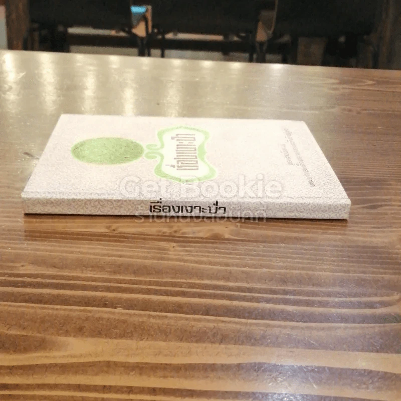 เรื่องเงาะป่า รูปที่ 2