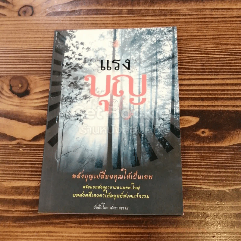 แรงบุญ รูปที่ 1