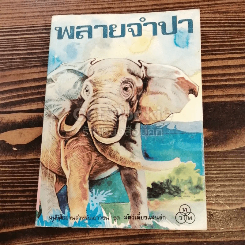พลายจำปา รูปที่ 1