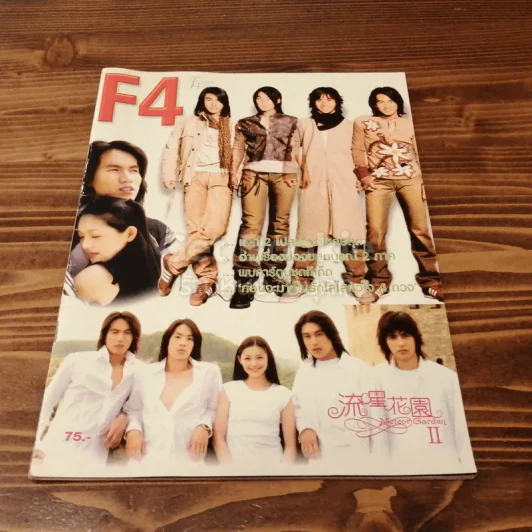 F4 Meteor Garden II เรื่องย่อ 2 ภาค และเบื้องหลัง F4 รูปที่ 1