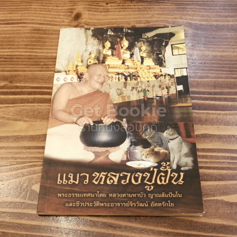 แมวหลวงปู่ฝั้น รูปที่ 1