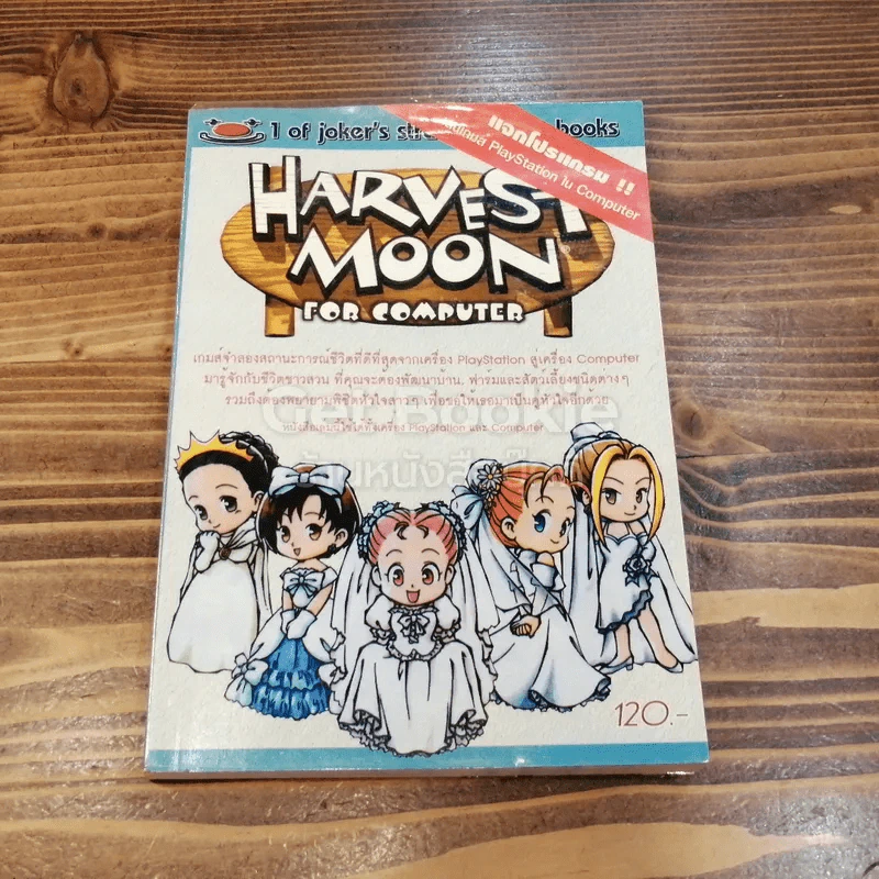Harvest Moon For Computer รูปที่ 1