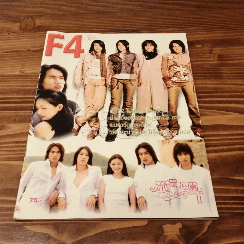F4 Meteor Garden II เรื่องย่อ 2 ภาค และเบื้องหลัง F4 รูปที่ 1