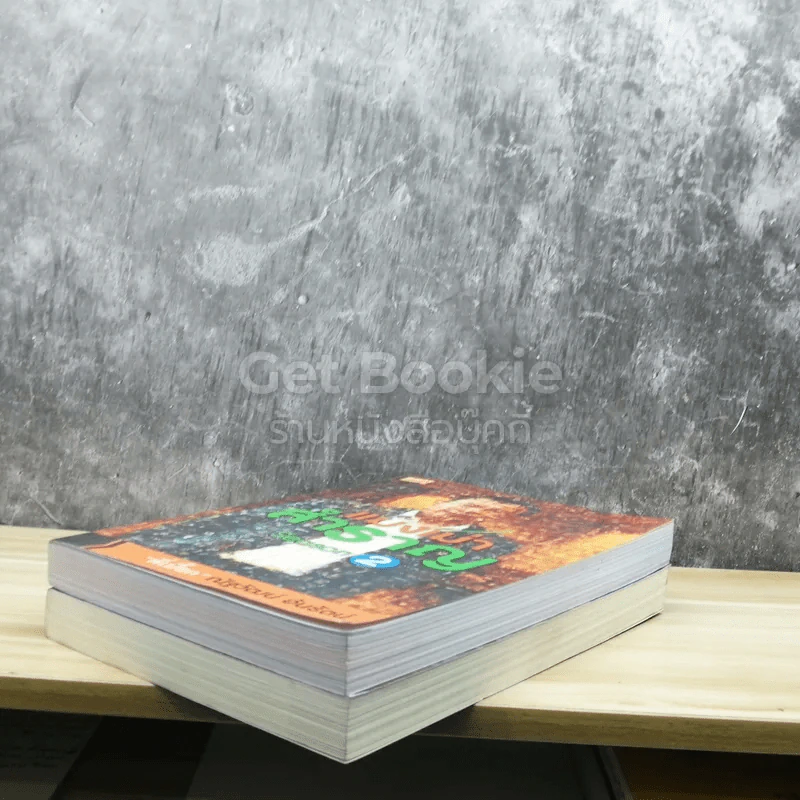 แมงเม่าสำราญ เล่ม 1-2 รูปที่ 4
