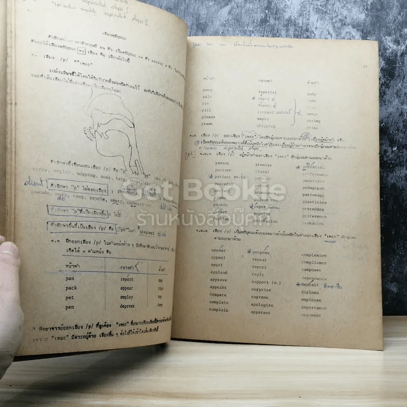 การออกเสียงภาษาอังกฤษ EN300 รูปที่ 4