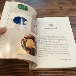 เปิดอกแม่ค้าพลอย รูปที่ 6