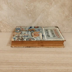 Chamberes's Children's Illustrated Dictionary รูปที่ 3