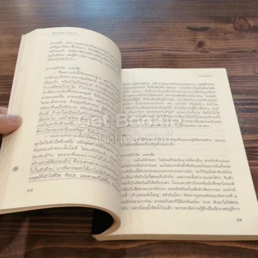 เนื่องในความงาม บทสนทนาและสัมภาษณ์ รูปที่ 4
