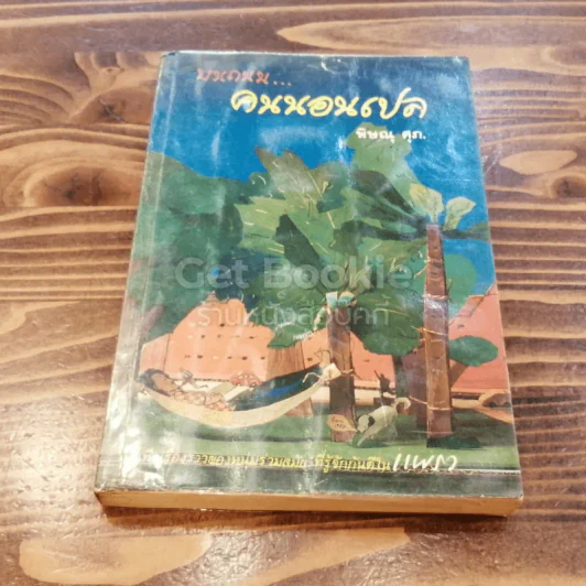 บนถนนคนนอนเปล รูปที่ 1