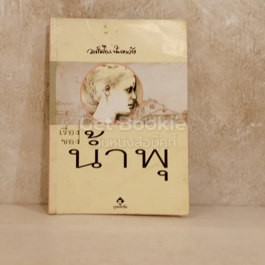 เรื่องของน้ำพุ รูปที่ 1