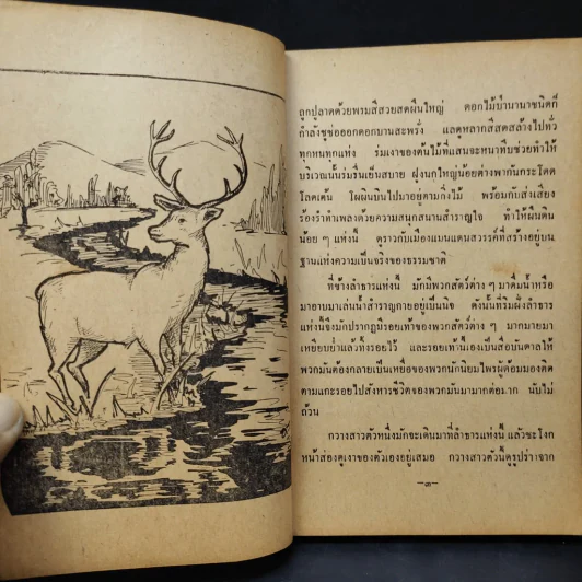 นิทานนานาชาติ รูปที่ 21