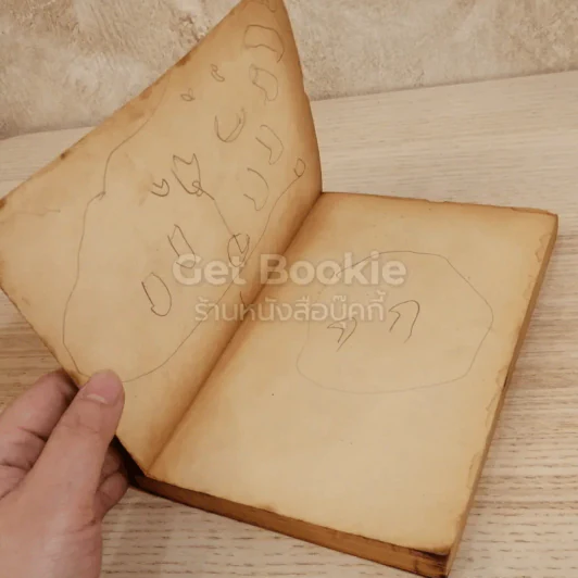 ต้นส้มแสนรัก รูปที่ 4