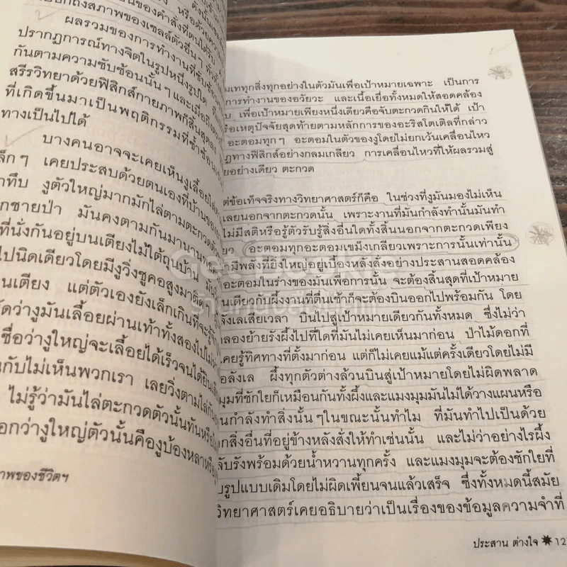 เอกภาพของชีวิตกับจักรวาล รูปที่ 5