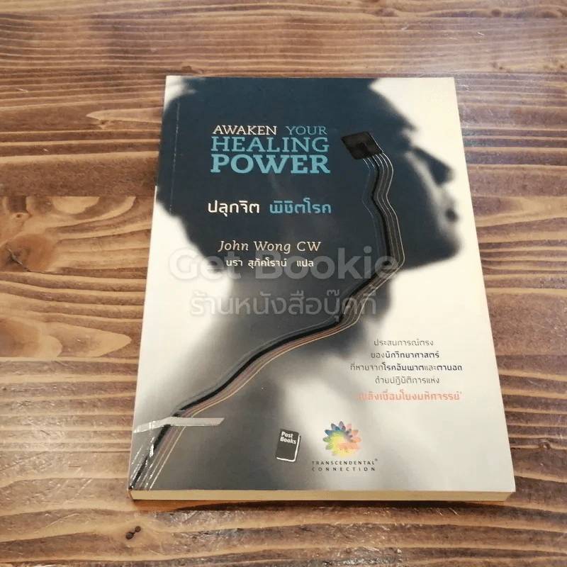 ปลุกจิต พิชิตโรค Awaken Your Healing Power รูปที่ 1