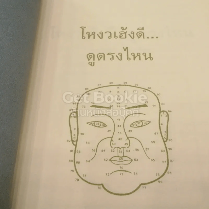 โหงวเฮ้งดี ดูตรงไหน - อุดมพร แพงอ่อน รูปที่ 3